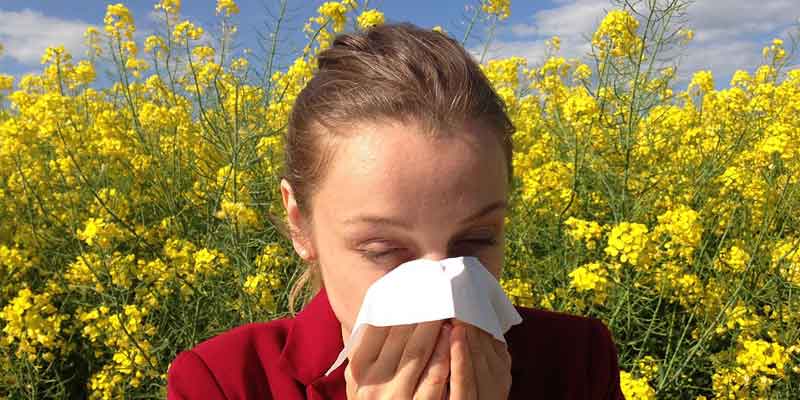 Menschen leiden unter Allergien